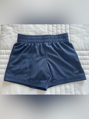 Nike Navy Blue Performance Shorts